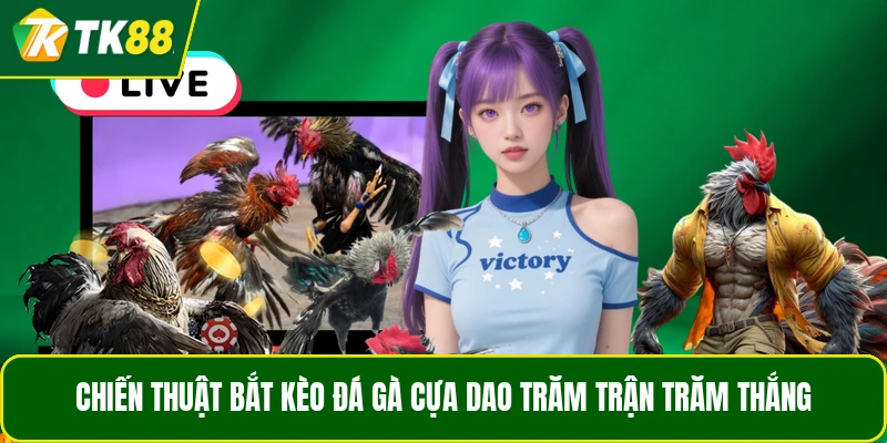 Chiến thuật bắt kèo đá gà cựa dao trăm trận trăm thắng Chiến thuật bắt kèo đá gà cựa dao trăm trận trăm thắng