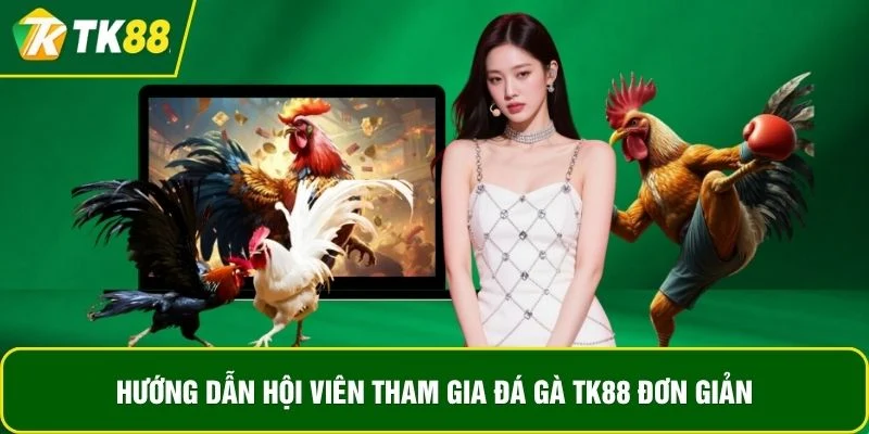 Hướng dẫn hội viên tham gia đá gà TK88 đơn giản Hướng dẫn hội viên tham gia đá gà TK88 đơn giản